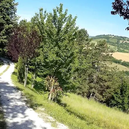 Holiday Podere Baldaccio